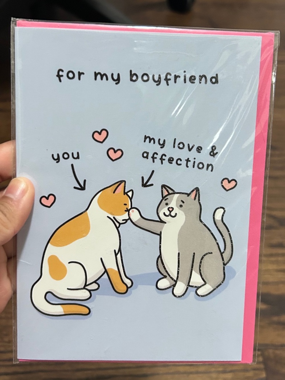 CENTRAL 23 Cat Boyfriend Card | New Sealed
